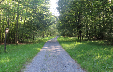 Zur "Allee der Bäume des Jahres" und durchs "Mannbachtal" | © Gemeinde Reichartshausen