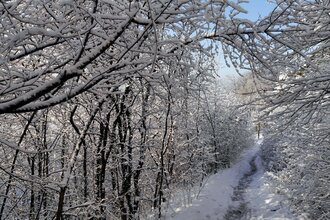 Zur Blankenhorn und nach Tripsdrill (Stromberg - Schwäbischer Wald) | © Land der 1000 Hügel - Kraichgau-Stromberg