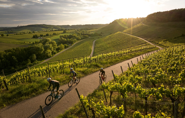 Rennradfahren im Land der 1000 Hügel | © Tourimia Tourismus GmbH | Stefan Leitner Photography