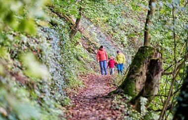 Familie wandert im Wald | © Touristikgemeinschaft Hohenlohe e. V. | Florian Trykowski