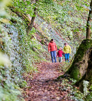 Familie wandert im Wald | © Touristikgemeinschaft Hohenlohe e. V. | Florian Trykowski