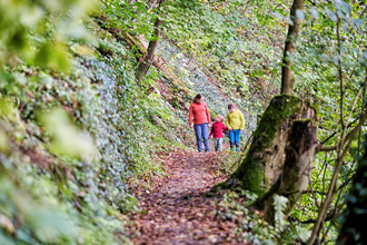 Familie wandert im Wald | © Touristikgemeinschaft Hohenlohe e. V. | Florian Trykowski