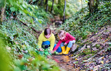 Kinder spielen im Bach | © Touristikgemeinschaft Hohenlohe e. V. | Florian Trykowski