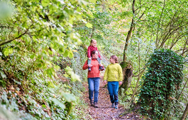 Familie wandert im Wald | © Touristikgemeinschaft Hohenlohe e. V. | Florian Trykowski