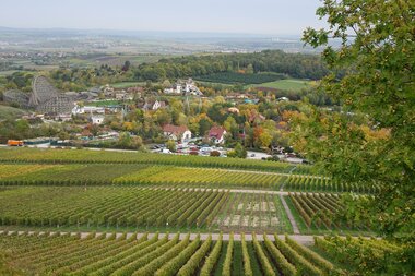 Blick auf die Weinberge und den Freizeitpark Tripsdrill vom Michaelsberg | © Neckar-Zaber-Tourismus e.V.