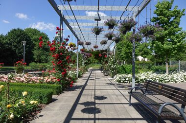 Rathauspark Nordheim mit Blumenpergola | © Neckar-Zaber-Tourismus e.V.