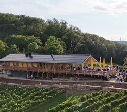 Drohnenaufnahme vom Weinausschank am Michaelsberg mit Terrasse | © Weingärtnergenossenschaft Cleebronn-Güglingen