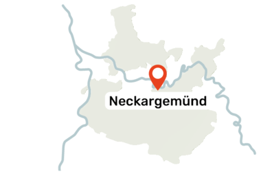Karte des Rhein-Neckar-Kreises mit dem markierten Ort Neckargemünd | © Landratsamt Rhein-Neckar-Kreis
