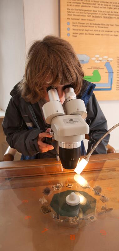 Person mit mittellangen braunen Haaren blickt durch ein Mikroskop auf einem Tisch mit Modell und Beleuchtung im Naturparkzentrum im Talheim´sche Haus | © Landratsamt Rhein-Neckar-Kreis; Foto Dorothea Burkhardt