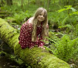 © Rhein-Neckar-Kreis