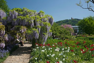 © Medienzentrum Heidelberg