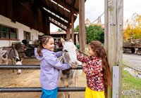 Zwei Kinder streicheln einen Esel in einem offenen Stall mit einem weiteren Esel im Hintergrund. | © Landratsamt Rhein-Neckar-Kreis; Foto Sebastian Weindel