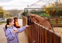 © © 2025 Sebastian Weindel, all rights reserved.