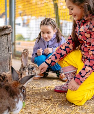 © © 2025 Sebastian Weindel, all rights reserved.