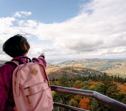 Zwei Personen auf einem Aussichtsturm blicken auf eine herbstliche Waldlandschaft, eine Person zeigt in die Ferne. | © Landratsamt Rhein-Neckar-Kreis; Foto Sebastian Weindel